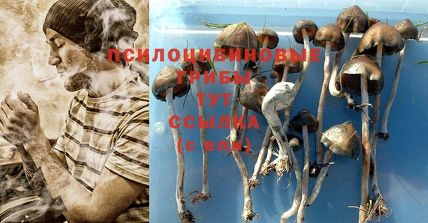 COCAINE Медногорск