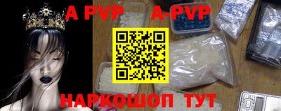 a pvp Кингисепп