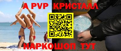 a pvp Кингисепп