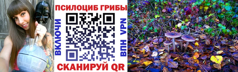 купить  цена  Туапсе  Псилоцибиновые грибы GOLDEN TEACHER 