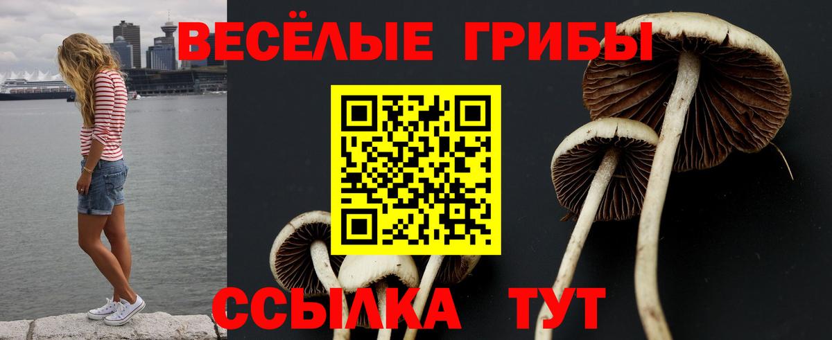 Галлюциногенные грибы ЛСД  Вход с VPN  Псилоцибиновые грибы мухоморы  Туапсе 