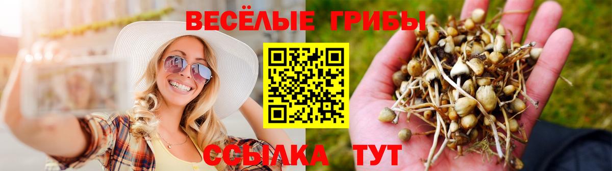 Псилоцибиновые грибы MAGIC MUSHROOMS Туапсе